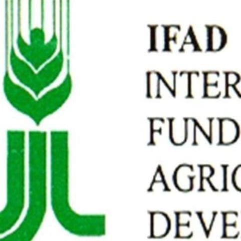 موريتانيا.. تنظيم مؤتمر للصندوق الدولي للتنمية الزراعية