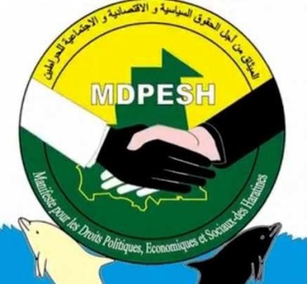 موريتانيا.. ميثاق الحراطين يطالب بمراعاة التنوع في الانتخابات