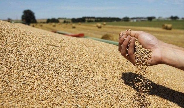 الأمم المتحدة: موريتانيا بحاجة لمساعدات غذائية