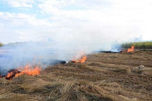 وزارة البيئة: الحرائق قضت على 465 كلم مربع من المراعي بالحوض الشرقي