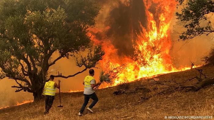 فرق الإنقاذ الجزائرية تواصل جهودها لإخماد 19 حريقا