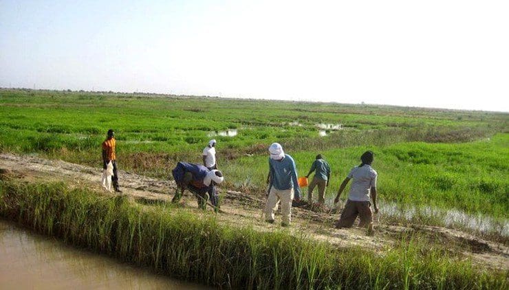 روصو.. المفتش العام للدولة يحقق في «أزمة السماد»