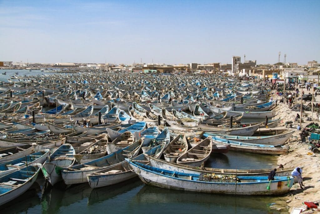 نواذيبو.. استئناف أنشطة الصيد التقليدي بعد توقف دام شهرين