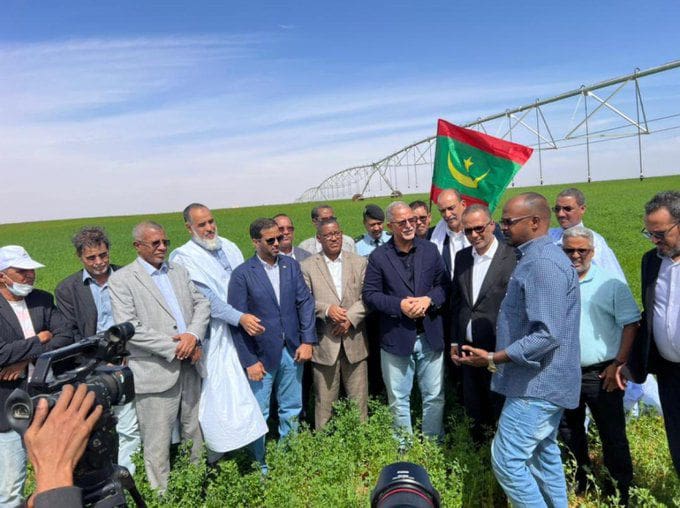 “أرباب العمل” يعلن نجاح أول تجربة لزراعة القمح بموريتانيا