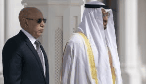 هاتفيا.. ولد الغزواني وبن زايد يبحثان تطوير العلاقات بين بلديهما