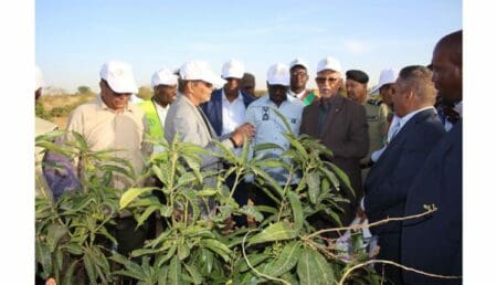 الحوض الغربي.. وزير الزراعة يهيئ لحملة زراعة ويتوقع نتائج مرضية