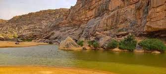 وفاة السائح الألماني.. سقوط عرضي وليس هجومًا من التماسيح