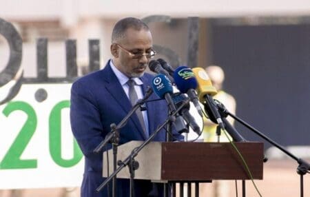 موريتانيا.. العمل على “أكبر” مشروع مصنع تحويلي للحديد بدول الجوار