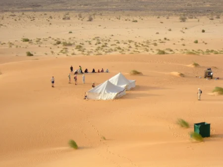 التصحر يلتهم 80% من موريتانيا.. خطة حكومية لمواجهته