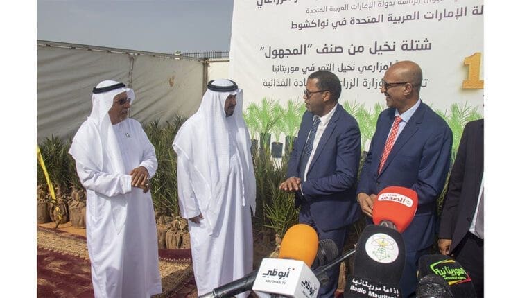 دعماً لزراعة النخيل.. موريتانيا تتسلم 1000 شتلة من صنف «المجهول»