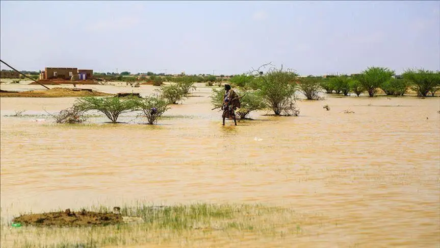 موريتانيا.. هطل أمطار بلغت 125 ملم في الحوض الشرقي
