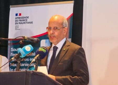 موريتانيا.. مشروع جديد لتعزيز مهارات الشباب في المهن الرقمية
