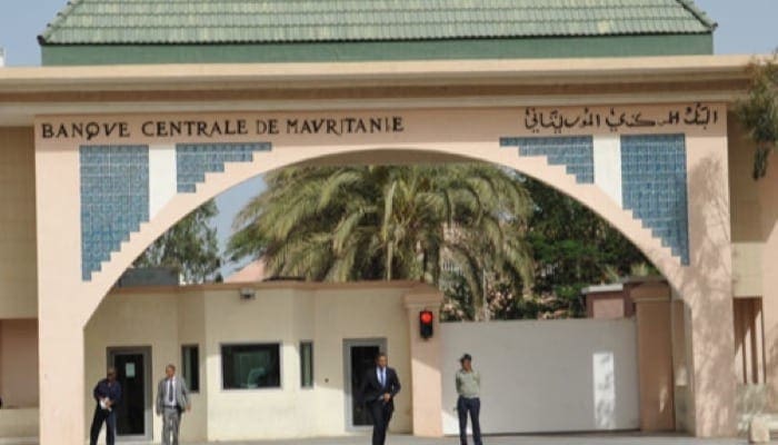 شركة إماراتية تطور أول بوابة رقمية لدفع الأموال بموريتانيا