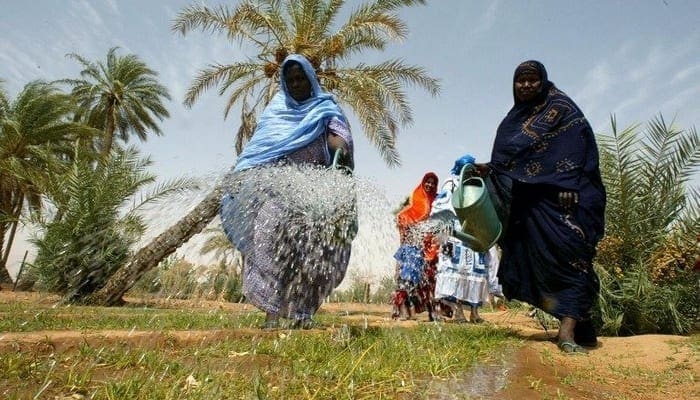 موريتانيا.. السلطات تطالب بزيادة الإنتاج الزراعي بآدرار