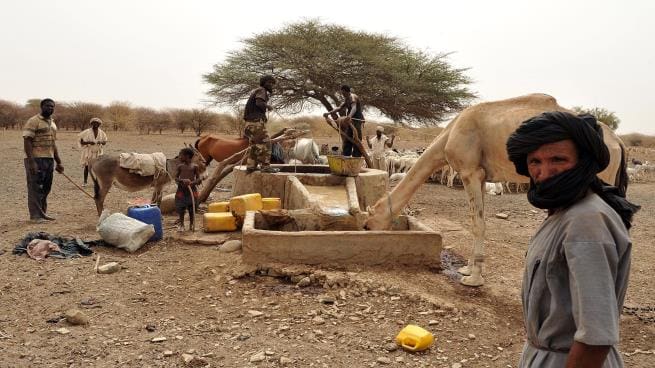 موريتانيا تدعو المنمين لحملة « تحصين المواشي »