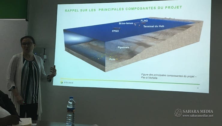 شركة (BP) تكشف تفاصيل جديدة حول الغاز الموريتاني