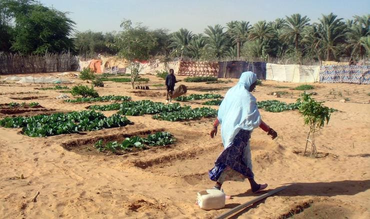 البنك الدولي يدعم مندوبية (تآزر) بـ 52 مليون دولار