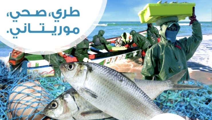 وزارة تطلق حملة لإقناع الموريتانيين بأكل السمك