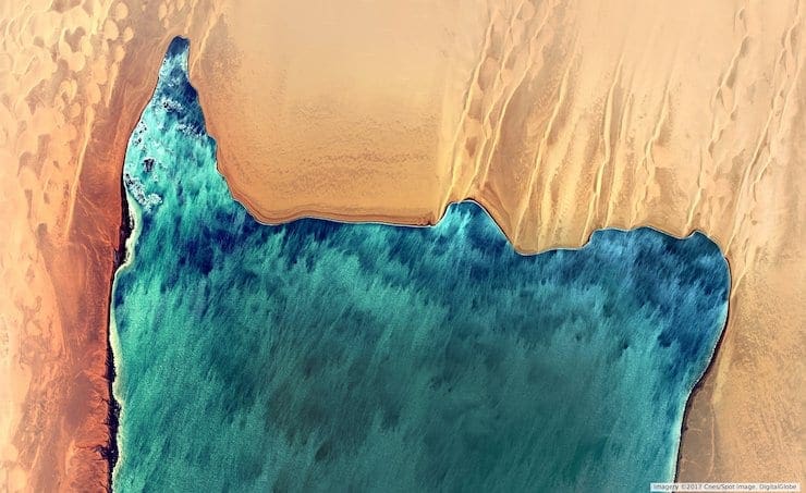 إغلاق مؤقت لمخيم «آرغين» إثر نفوق أعداد كبيرة من الأسماك