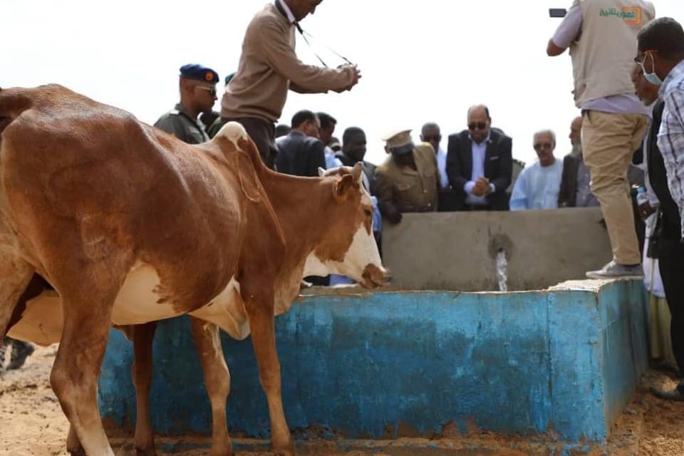 الحوض الغربي.. 980 مليون أوقية لتوفير المياه الرعوية