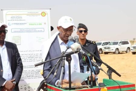 وزير التنمية الحيوانية: موريتانيا تمتلك 30 مليون رأس من الماشية