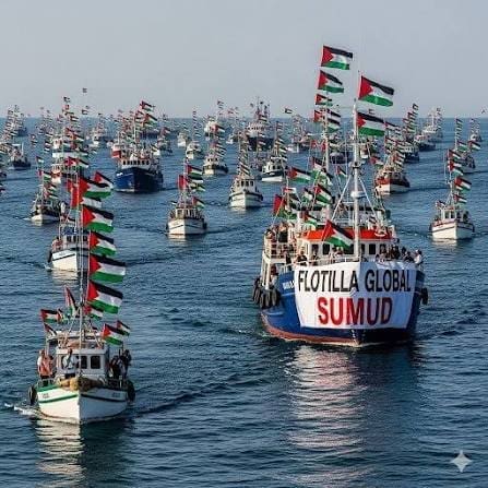 موريتانيا تتحرك لإطلاق سراح مواطن مشارك في أسطول الصمود