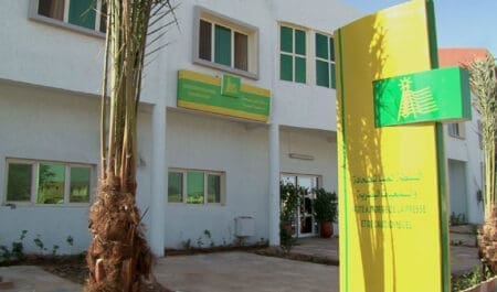هابا: المعارضة تستفيد من نسب بث متدنية في الإعلام العمومي