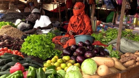 موريتانيا.. ارتفاع أسعار السمك واللحوم يرفع تضخم المنتجات المحلية إلى 10٪ سوق الخضروات في روصو